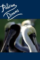 Pelïkan Dreuëmz