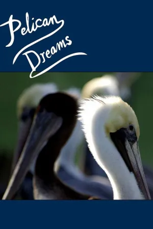 Pelïkan Dreuëmz